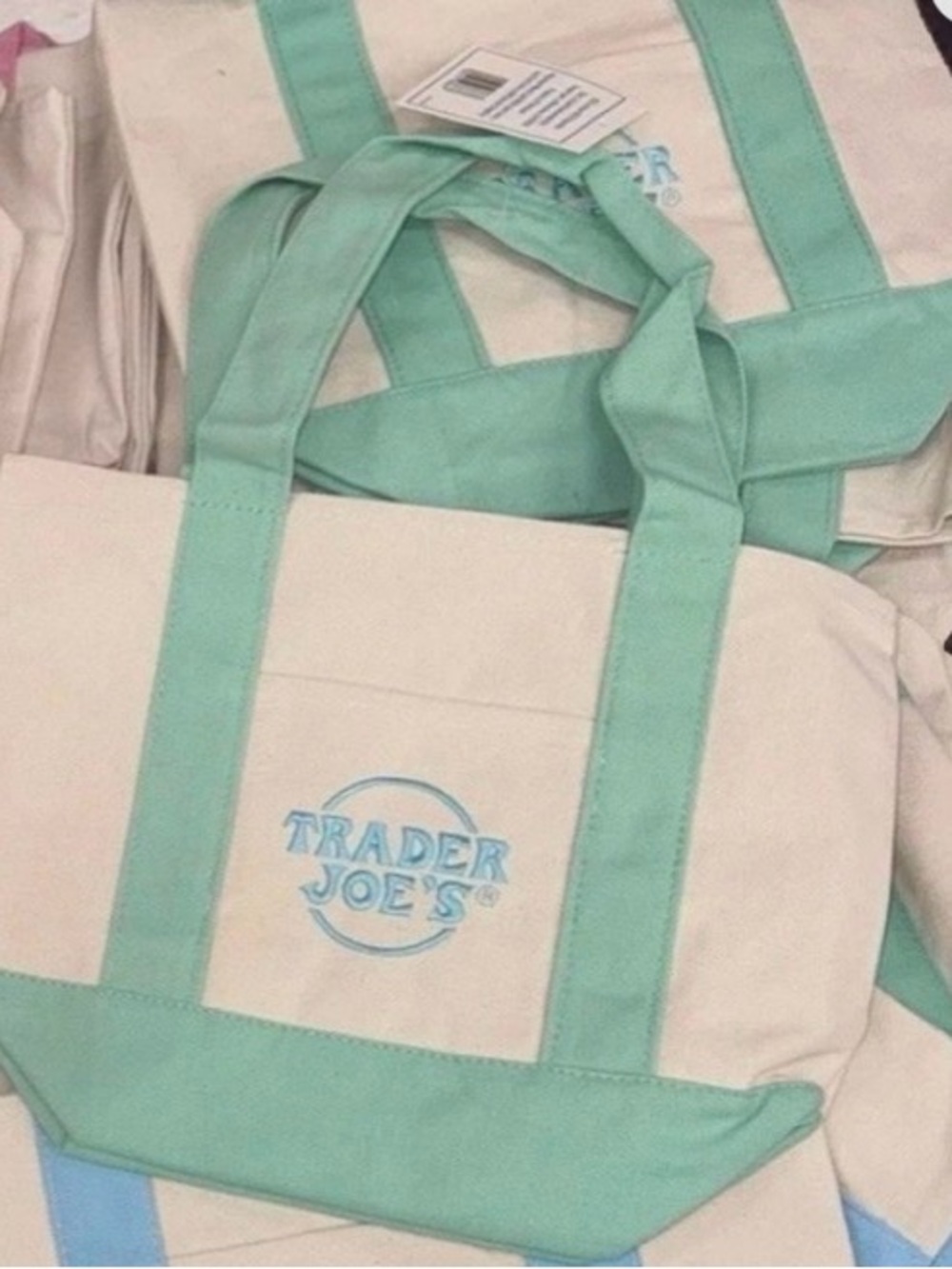Trader Joe's Mint Canvas Tote Bag with Contrast Trim - Mini Tote.